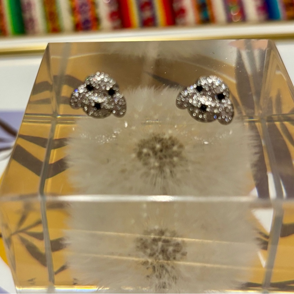 Elegant 925 sterling silver earrings 🐶